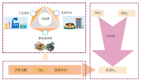 非膜法垃圾渗滤液全量化处理系统